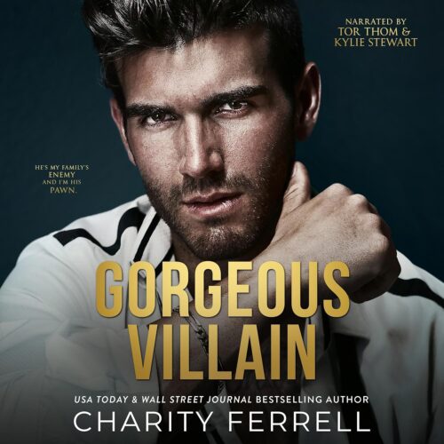 Gorgeous Villain Audiobook